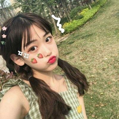 熊猫的大冒险